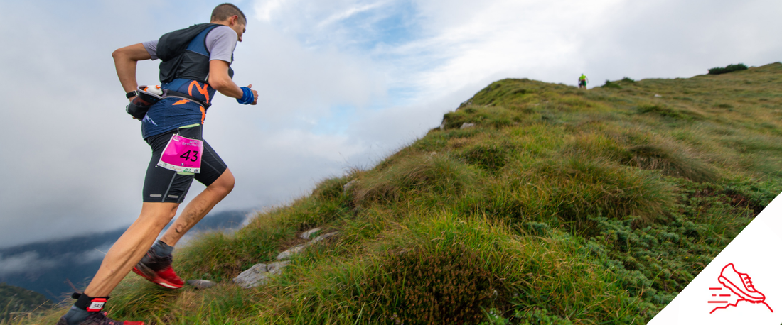 Trail Run Hidalgo 2026: Hidalgo Transnavajas
