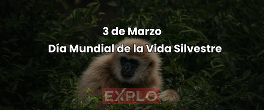 Nuestro Compromiso en el Día Mundial de la Vida Silvestre: Correr, Explorar y Respetar